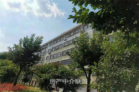 市中区荣华里1室0厅0卫15.3平米